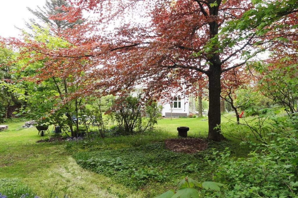 Charming Flat In Cosy Farmhouse Skudeneshavn المظهر الخارجي الصورة